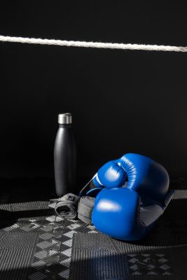 view-pair-boxing-gloves